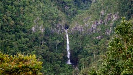 Post image for Things to See and Do in Don Salvador Benedicto, Negros Occidental