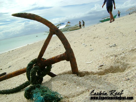 carbin-reef2 carbin-reef2