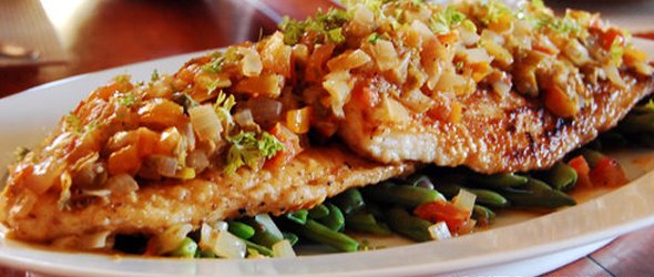 food 590x250