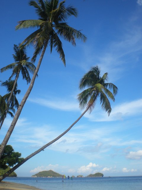 punta bulata3
