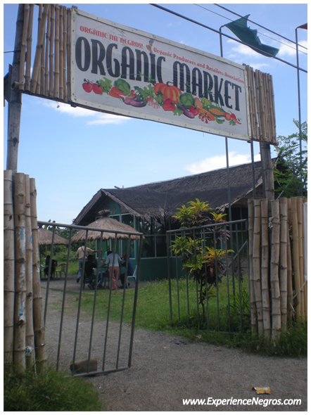 negros organic market